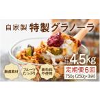 加工品等 定期便6回 無添加 フルーツグラノーラ 250g×3袋