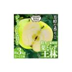 ふるさと納税 りんご 青森県 藤崎町 王林 特A ご家庭用 約3kg 1357236