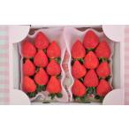 ふるさと納税 いちご 埼玉県 秩父市 いちごハウスAYAのあまりん　250g×2パック ／ あまりん 甘い ジューシー フルーツ 特選 フレッシュ 冷蔵 旬果物 手土産 …