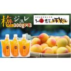 ジャム 爽やかな酸味と甘み 梅ジュレ セット