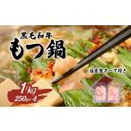ふるさと納税 牛肉 もつ鍋 茨城県 下妻市 黒毛和牛もつ鍋セット1kg 国産 スープ 脂 おかず 冷凍 人気 お取り寄せ モツ鍋 茨城県下妻市 SZR