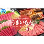 マグロ 3回定期便 毎月お届け 和歌山うまいもん定期便