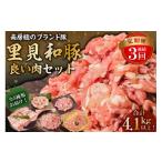 豚肉 セット 定期便 房総ブランド豚 里見和豚 4kg以上