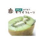 キウイ5kg+250g 傷み補償分