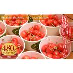 ふるさと納税 果物類 