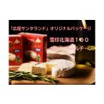 ふるさと納税 加工品等 チーズ 北海道 広尾町 カマンベールチーズ6個(0031)