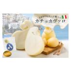 加工品等 チーズ カチョカヴァロ Caciocavallo 500g