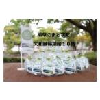飴 あめ 薬草のまち宇陀 大和当帰葉飴 10個
