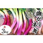 fu.... налог овощи вид лук порей Fukushima префектура .. река город Meiji из .. традиция овощи [ изгиб лук-батун красный ] примерно 3kg F7X-0074