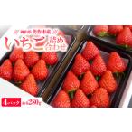 ふるさと納税 いちご 岡山県 美作市 岡山県美作市産 いちご詰合せ(約280g×4パック) 1073695