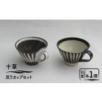食器 グラス ティーカップ 美濃焼 十草 反りカップセット