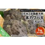 旬の鮮魚等 淡路産天然本カワハギ 丸はげ 1kg