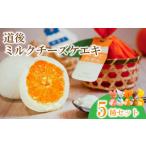 ケーキ カステラ チーズケーキ 道後ミルクチーズケエキ