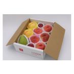 ふるさと納税 果物の詰合せ 山形県 天童市 08-03-009　季節のフルーツ詰合せ(8月分)約2.5kg