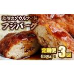 肉 揚げ物 051-t03-a002 定期便