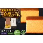 菓子 カステラ 全6回定期便 カステラ1号 10切入