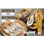 ふるさと納税 牡蠣 生牡蠣 宮城県 石巻市  牡蠣むき身 500g 殻付き牡蠣 6個 生食可 お楽しみセット 生牡蠣 牡蠣 かき カキ 生カキ むき身 殻付き セット 生か…