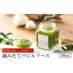 野菜類 ハーブ バジルソース 100ml