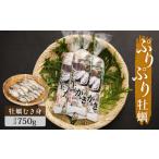 ふるさと納税 牡蠣 生牡蠣 宮城県 石巻市 牡蠣 宮城県産 ぷりぷり 生牡蠣 むき身 750g 生食用 カキ 冷蔵 生カキ 小分け