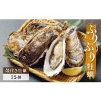 ふるさと納税 牡蠣 生牡蠣 宮城県 石巻市 殻付き牡蠣 15個 生食用 牡蠣 カキ 殻付き 冷蔵 宮城 かき 生牡蠣 生カキ 生かき 生食 焼き牡蠣 蒸し牡蠣 濃厚 オイ…
