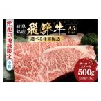 ショッピングふるさと納税 楽天限定 ふるさと納税 牛肉 ステーキ 岐阜県 八百津町 飛騨牛 サーロインステーキ 250g 2枚 年内配送 (39) 12月28日(日)着 12月28日(日)着