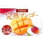 ショッピングふるさと納税 マンゴー ふるさと納税 マンゴー 宮崎県 宮崎市 《2026年発送先行予約》 数量・期間限定 宮崎県産完熟マンゴー 2Lサイズ 1玉_M184-011 13,000円　2Lサイズ×1玉
