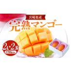 ショッピングふるさと納税 マンゴー ふるさと納税 マンゴー 宮崎県 宮崎市 《2026年発送先行予約》 数量・期間限定 宮崎県産完熟マンゴー 2Lサイズ 2玉_M184-012 19,000円　2Lサイズ×2玉