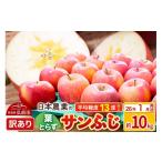 ショッピングふるさと納税 訳あり 傷 ふるさと納税 りんご 青森県 弘前市  26年1月発送 りんご 平均糖度13度以上 葉とらずサンふじ 約10kg 訳あり 青森 果物 フルーツ 林檎 リンゴ くだもの 不揃い…