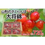 ふるさと納税 山形県 山形市 山形のさくらんぼ 大将錦 約800g Lサイズ以上(200g×4) 【令和6年産先行予約】FU22-057 フルーツ くだもの 果物 山形 山形県 山形…