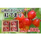 ふるさと納税 果物類 さくらんぼ 山形県 山形市 山形のさくらんぼ 紅てまり 約800g Lサイズ以上(200g×4) 令和7年産先行予約 FS24-557くだもの 果物 フルーツ …