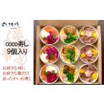 惣菜 レトルト 冷凍 花梓侘 coco寿し 9個入り
