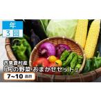 セット 詰合せ 年3回定期便 西粟倉産 旬の野菜