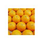 ふるさと納税 果物類 みかん 愛媛県 松山市 訳あり あいか 愛果 28号 約4kg | 紅まどんな と同品種 みかん 柑橘 訳あり 不揃い 愛媛県 松山市