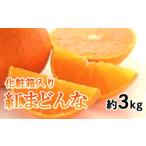 ふるさと納税 果物類 みかん 愛媛県 松山市  先行予約 化粧箱入り 紅まどんな 約3kg (L〜4L) みかん 紅まどんな 柑橘 紅まどんな みかん 紅まどんな 高級柑橘 …