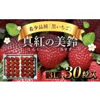ショッピングふるさと納税 いちご ふるさと納税 いちご 千葉県 山武市  先行予約 2025年12月中旬より順次発送 希少品種 黒いちご 真紅の美鈴 3L 30粒入り SMAN002