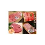 牛肉 サーロイン 毎月定期便 神戸ビーフ 定期便