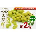 ふるさと納税 ぶどう マスカット 山形県 山形市 ご家庭用 山形のシャインマスカット 優品 約2kg(2〜6房) 9月中旬〜10月中旬発送 令和7年産先行予約 FS24-578…