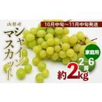 ふるさと納税 ぶどう マスカット 山形県 山形市 ご家庭用 山形のシャインマスカット 優品 約2kg(2〜6房) 10月中旬〜11月中旬発送 令和7年産先行予約 FS24-577…