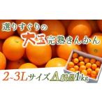 みかん 柑橘類 プレミアム 選りすぐりの大玉完熟きんかん1kg