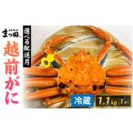 カニ ずわいガニ まっ田の越前がに 1.1kg×1杯