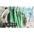 fu.... налог овощи вид спаржа Hokkaido .. блок 2026 год 4 месяц сверху ... доставка утро .. Hokkaido .. блок производство весна .. зеленый aspalaM~LL смешивание примерно 800g..... налог...