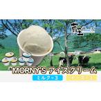 菓子 アイス 蔵王チーズ モーニーズ アイスクリーム 6個入