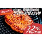 ふるさと納税 肉 ハンバーグ 山形県 山形市 鉄板焼 JGハンバーグヴィアンド 2.2kg(110g×20個) FZ22-452 冷凍 調理済み 山形県 山形市