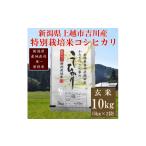 極少量米: 令和6年産 棚田米コシヒカリ 10kg