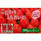 ふるさと納税 いちご 栃木県 壬生町 栃木県産 こだわり とちあいか 300g以上×2パック | 家庭用 完熟 朝摘み 苺 いちご イチゴ とちあいか 果物 フルーツ 秀品…