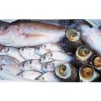 旬の鮮魚等 小豆島から直送 朝獲れ鮮魚 旬の地魚詰め合わせ…