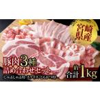 豚肉 ロース 産豚肉3種 詰め合わせセット