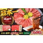 ふるさと納税 牛肉 焼肉・バーベキュー 岐阜県 岐阜市 飛騨牛 赤身(モモ・カタ)・霜降り(バラ)焼肉(各300g)計600g BBQ 赤身 ロース 岐阜市/丸福商店 ANBO023…