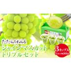 ぶどう マスカット たたらみねらる シャインマスカット