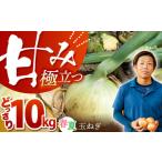 野菜類 玉ねぎ 10kg